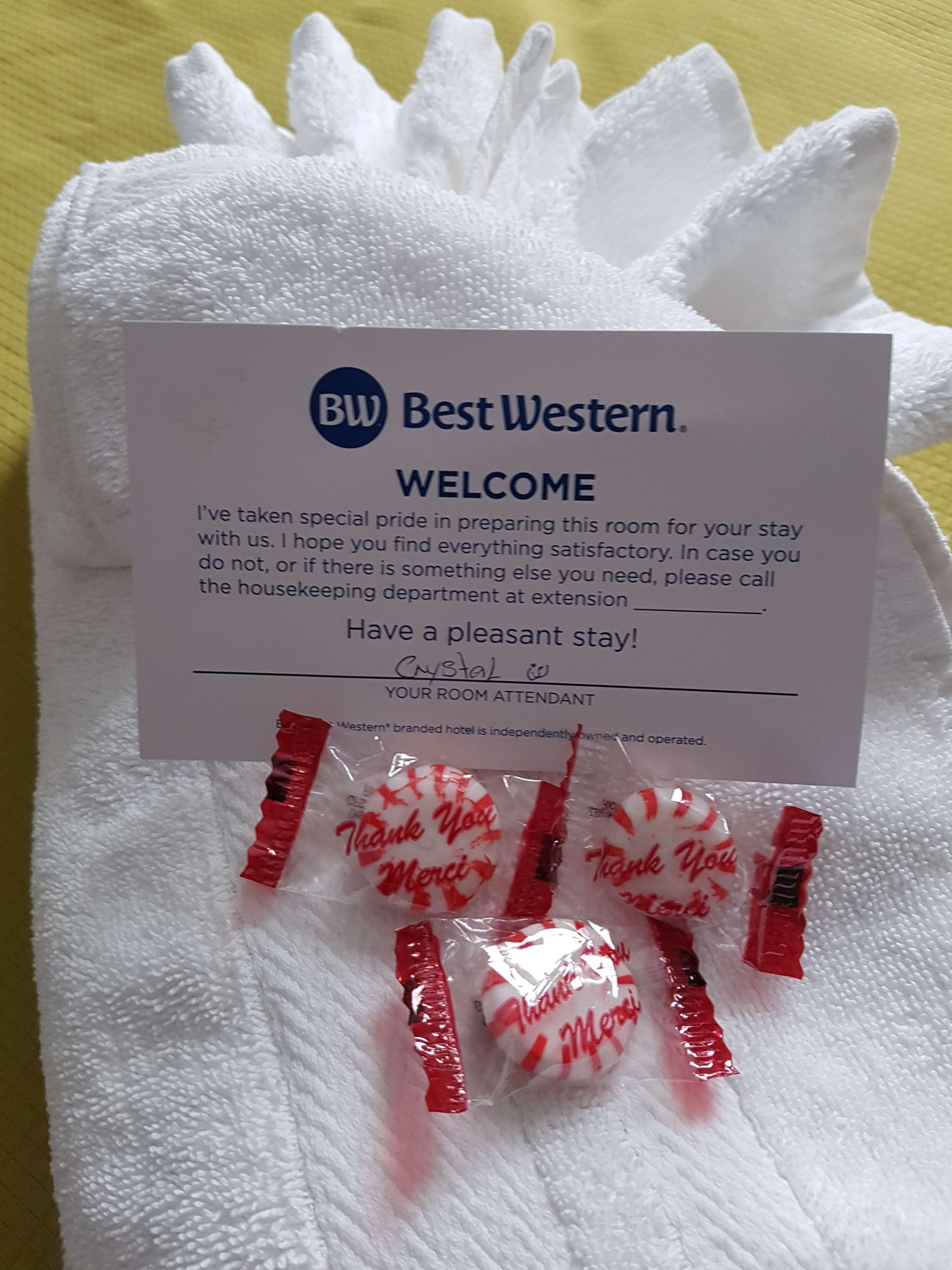 Best Western Plus Durham Hotel & Conference Centre Oshawa Exteriör bild